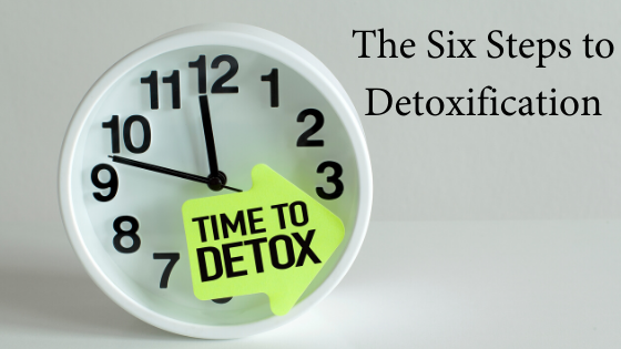 The Six Steps to Detoxification